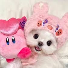 Trần Thu Hà avatar