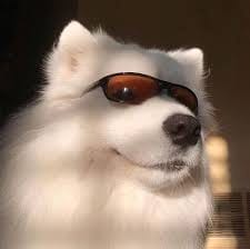 Lê Thùy Lâm avatar