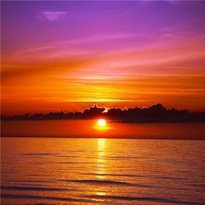 Lê Thị Thơm avatar